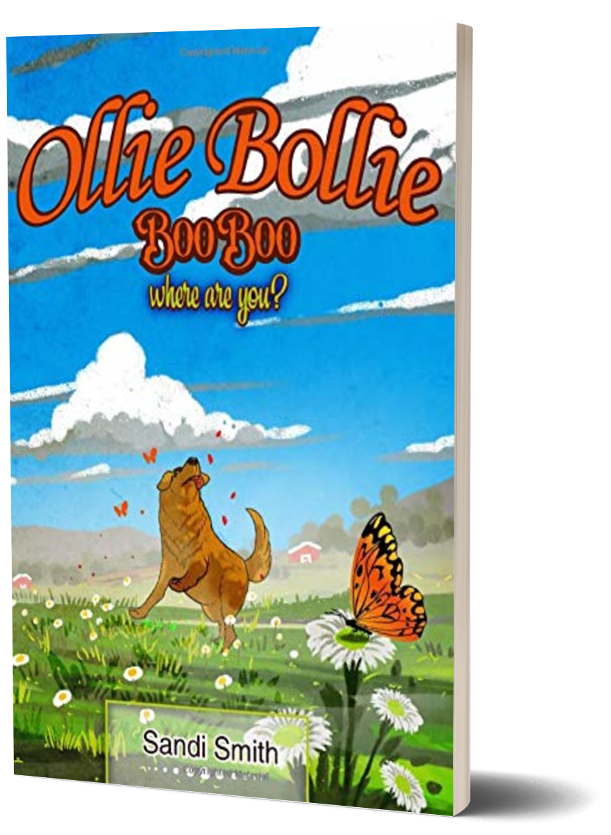 Early readers book Ollie Bollie Boo Boo, Where Are You author sandi smith childrens book (1)
