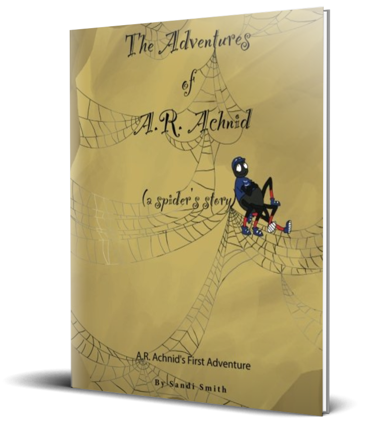 a fun spider adventure by sandi smith childrens author